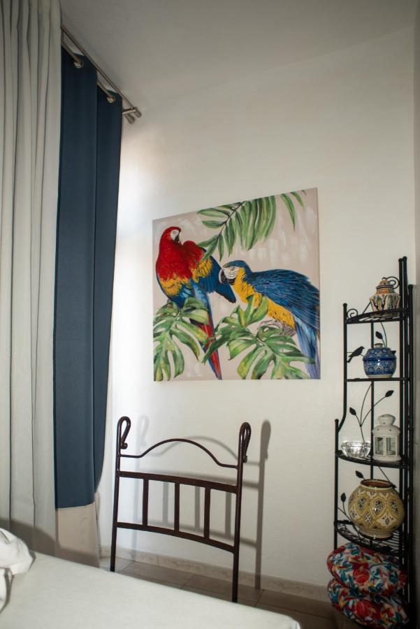 Studio Central Canet-en-Roussillon Exterior photo